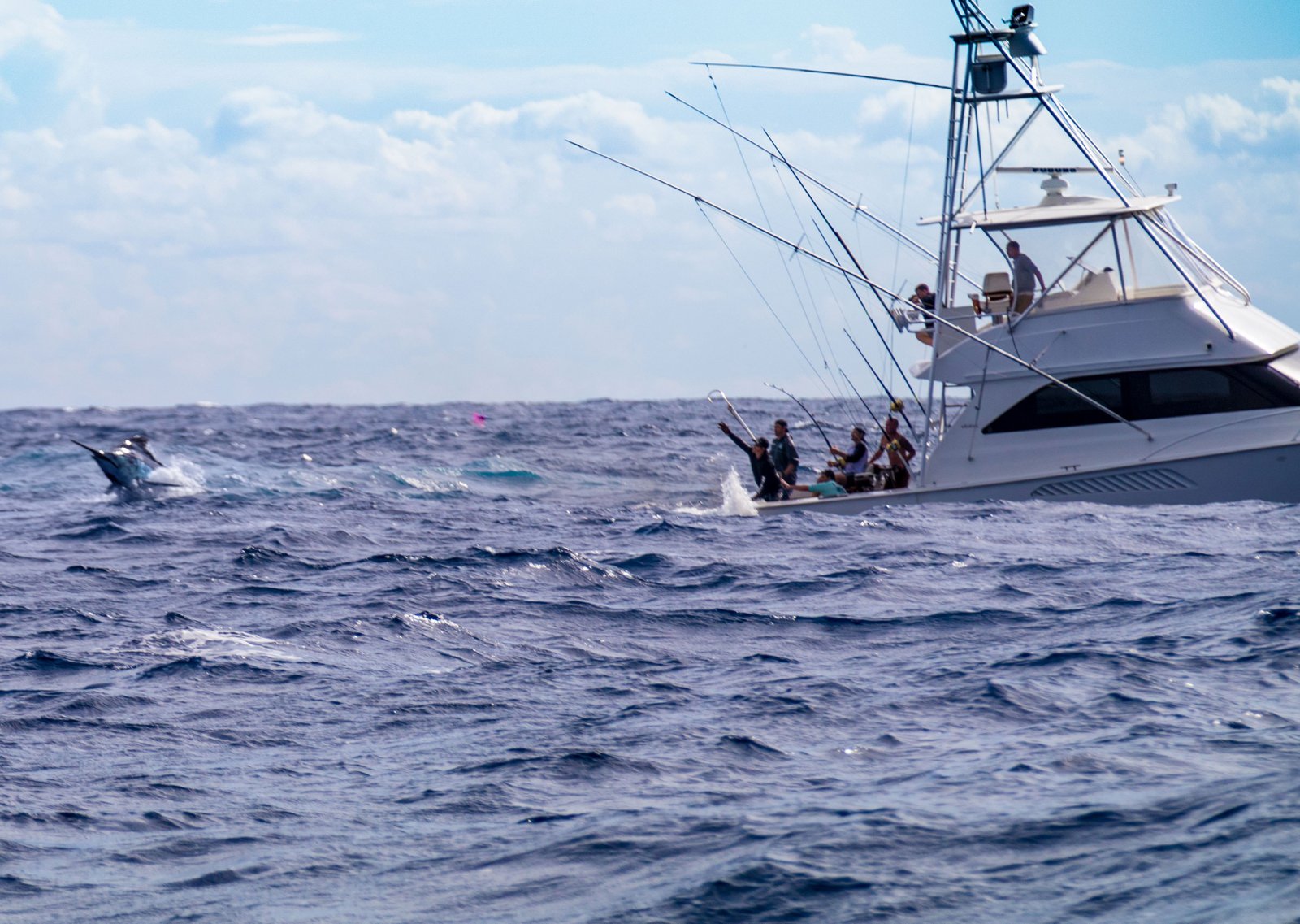 TANTRUM Lures - Big tournament this weekend for the east coast Australia  blue marlin fishermen! The Port Stephens Billfish Shootout was the original  NSW money tournament and always created that extra bit